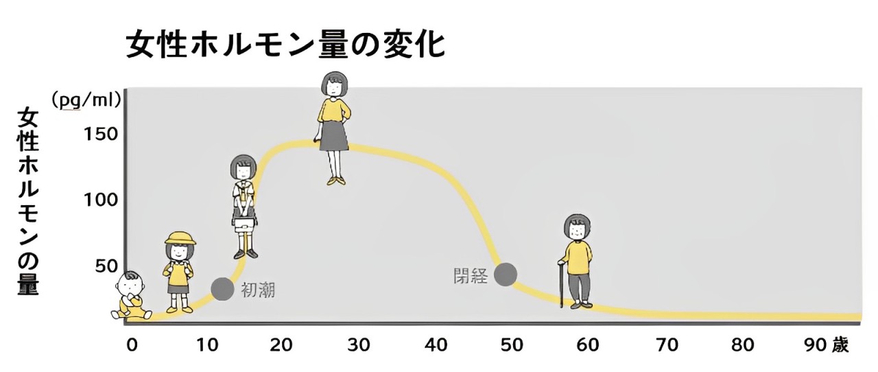 女性ホルモン量の変化